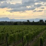 2025 07 23 Cena Tenuta Canova Paesaggio